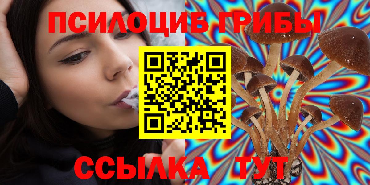 Псилоцибиновые грибы Psilocybine cubensis Дзержинский