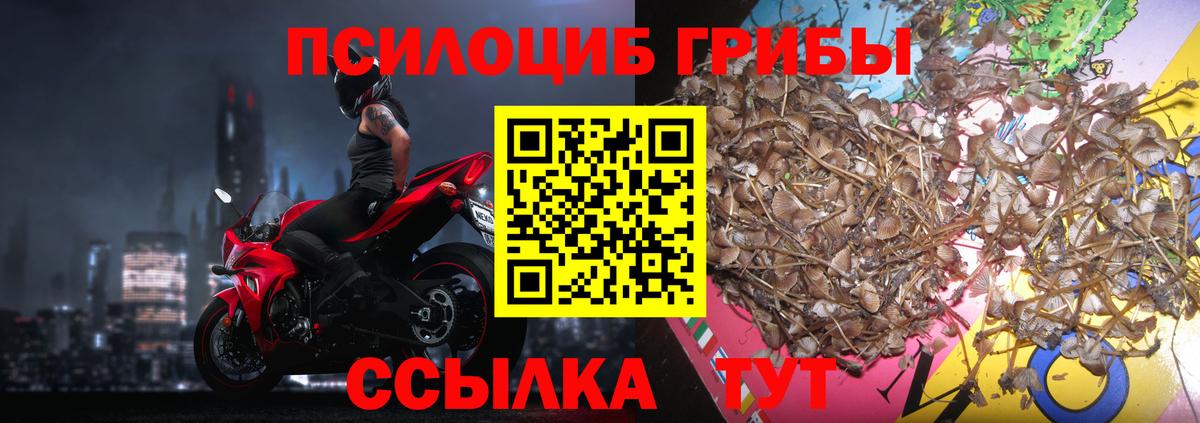 Галлюциногенные грибы MAGIC MUSHROOMS  Вход с VPN  Дзержинский 